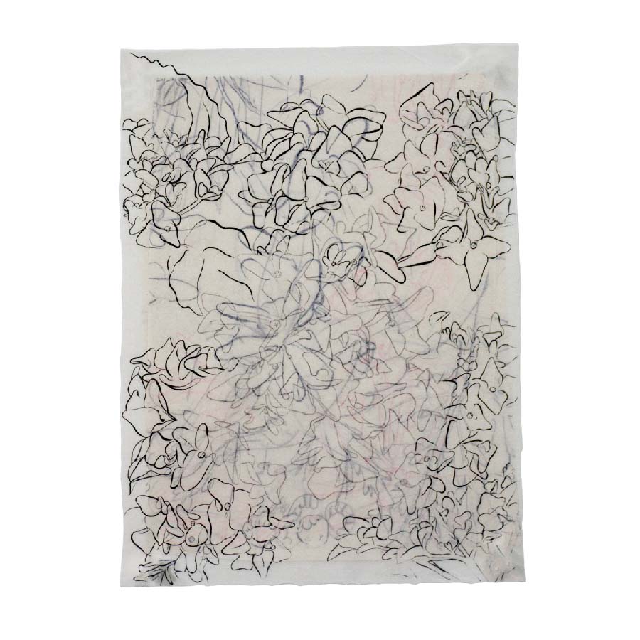 Ink, pencil, drawing, work on paper, flower arrangement, contours, lines